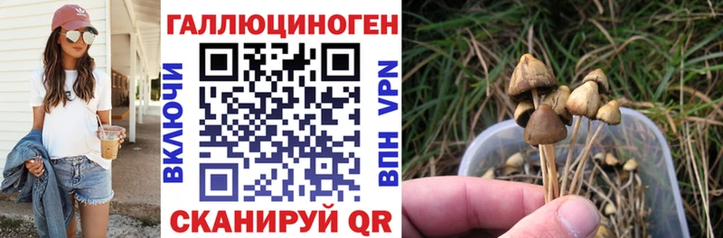 Псилоцибиновые грибы GOLDEN TEACHER  shop наркотические препараты  Гулькевичи  OMG ссылка 