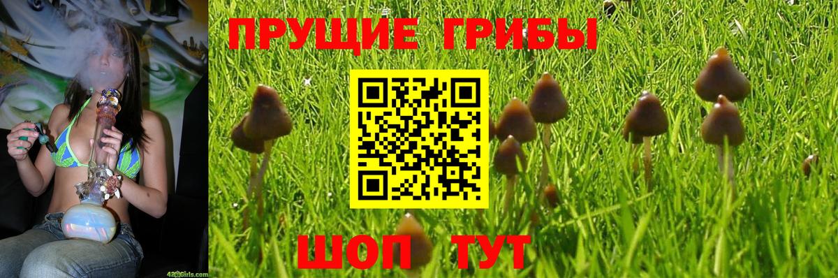 Гулькевичи  Галлюциногенные грибы мухоморы  Вход с VPN 